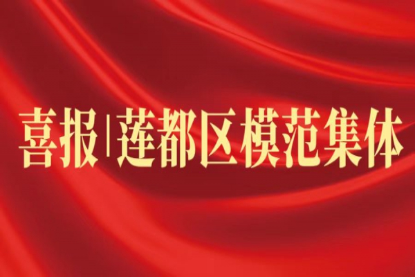 喜報丨浙江中立建設(shè)榮獲蓮都區(qū)“模范集體”稱號！
